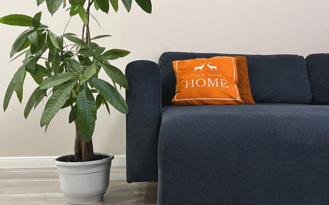 Уютная Квартира на Некрасова