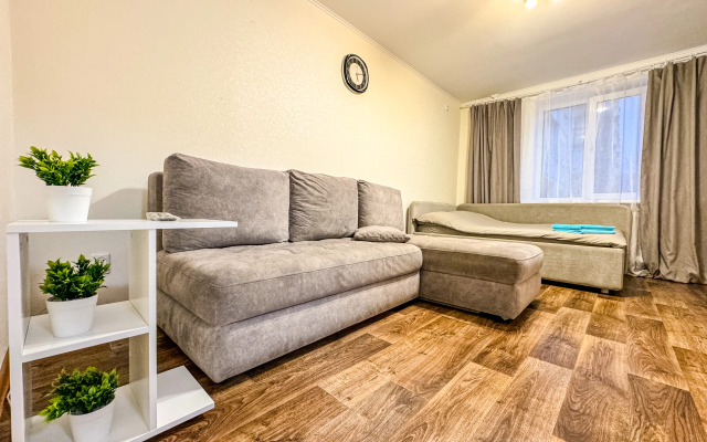 V Tsentre Goroda Flat