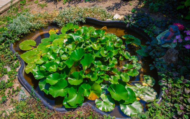 40 Let Pobedyi Guest House