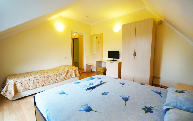 Pushkin Hotel