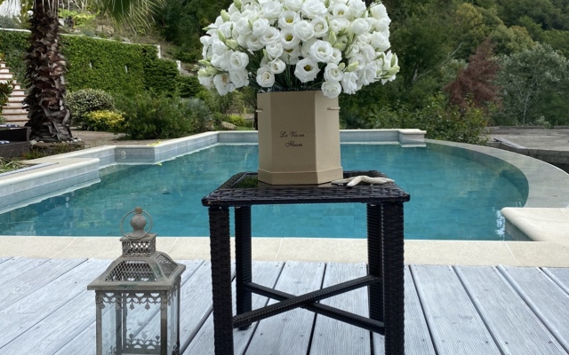 More I Palmyi Guest House