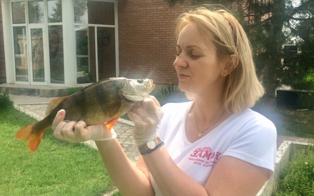 База отдыха Замок