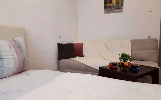 Апартаменты на Московском Проспекте 120 (535)