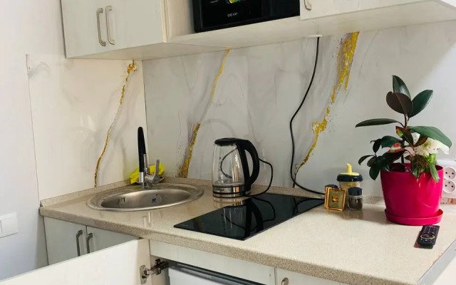 Uyutniye Apartamenty v Tikhom Rayone 2 Apartments