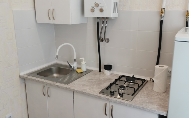 Solnechnaya na Rizhskom Flat