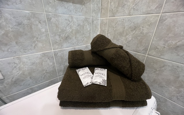 Апартаменты AlexHome Старая Купавна на Кирова