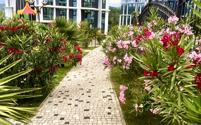 Sochi Park Flat