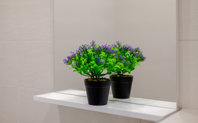 Апартаменты Студия возле Космопорта