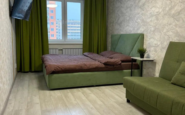 3-Kh Komnatnye U Aeroporta Apartments
