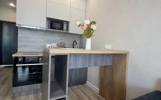 Novaya studiya v Sibir House Apartments