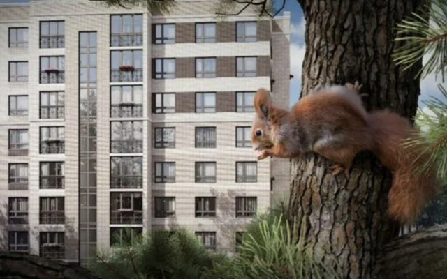 Квартира Уютно жить 1