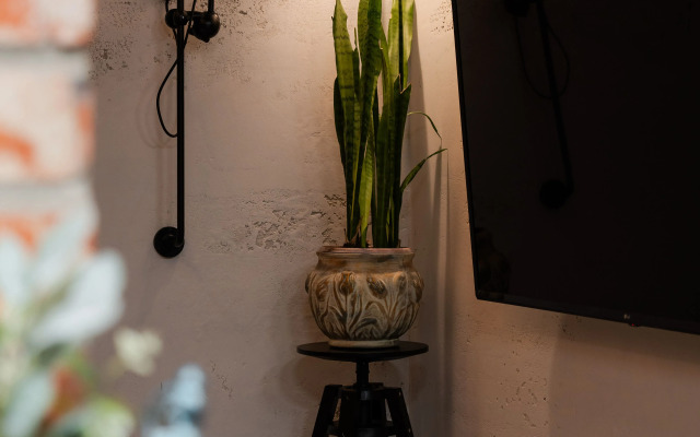 Loft Flat