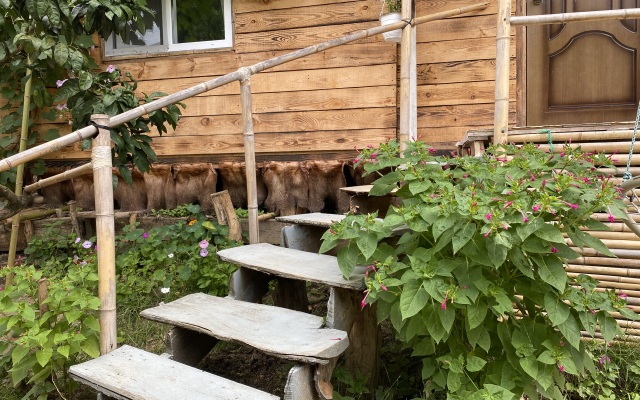 Zelyonaya Private House