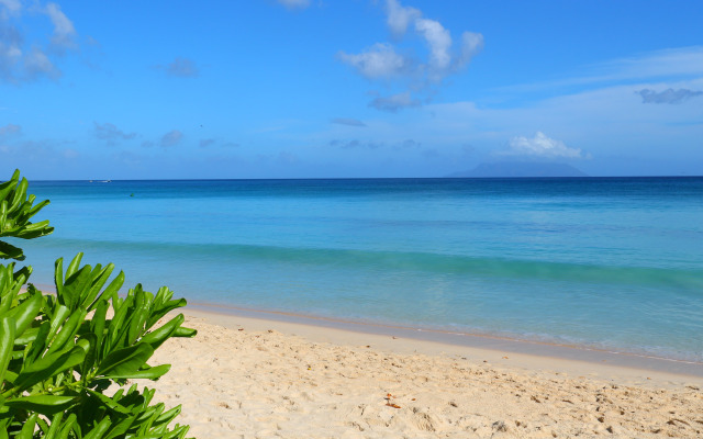 Mimi Beachfront Beau Vallon Villa