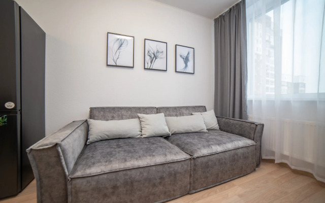 Апартаменты Гагарина 9 Серая