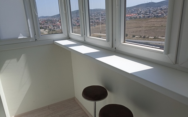 Odnokomnatnaya (366) Flat