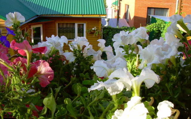 Ivanovskij Guest House