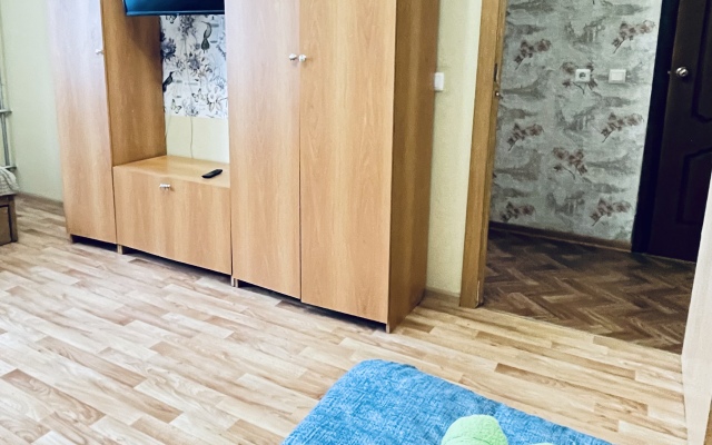 Tsentralnaya 17 Apartments