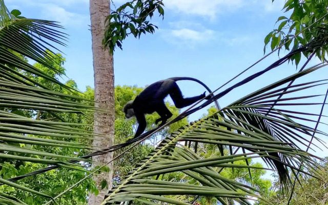 Villa 51 - Ground Floor Villa