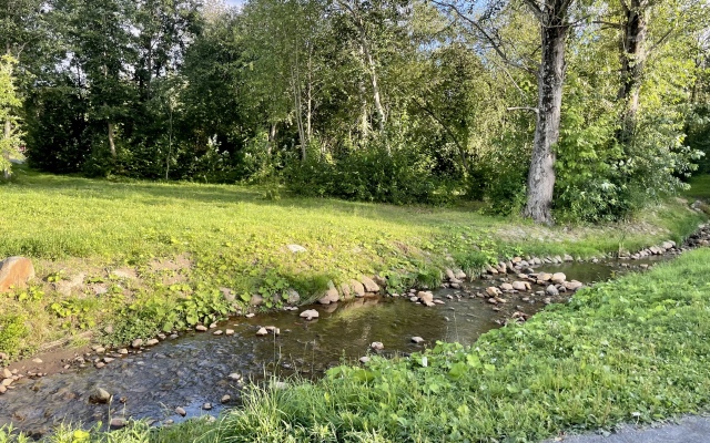 Апартаменты Ярви Комфорт