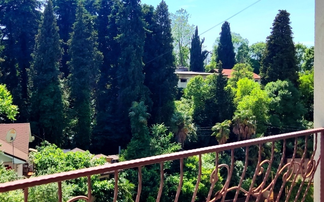 Kvartira Apartamenty V Tsentralnom Sochi Apartments