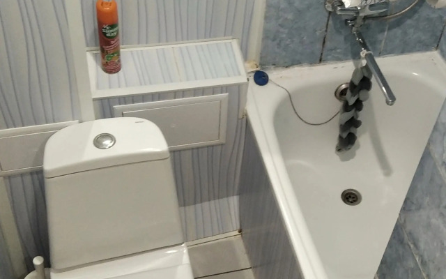 studiya na Utinom Prudu Flat