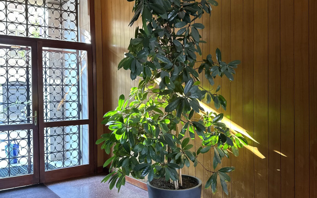 Ponchielli Loft Apartments