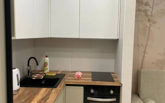 Квартира Премиум Аэропорт