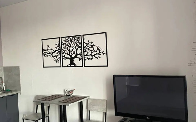 Komfortnaya Studiya Ryadom S Zhd Vokzalom Apartments