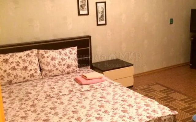 Апартаменты «МИР» ул. Молодежная, д. 9А 1