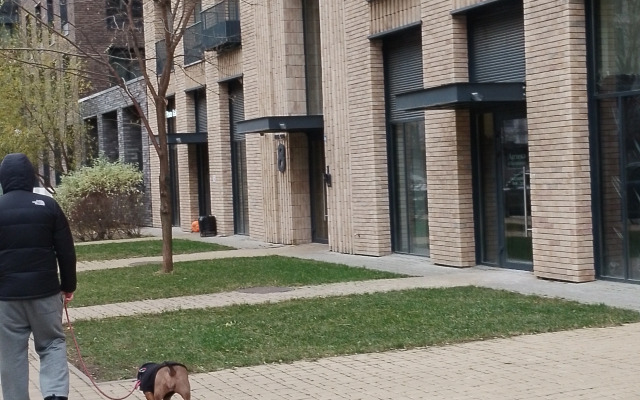 Квартира свежая в Домашнем