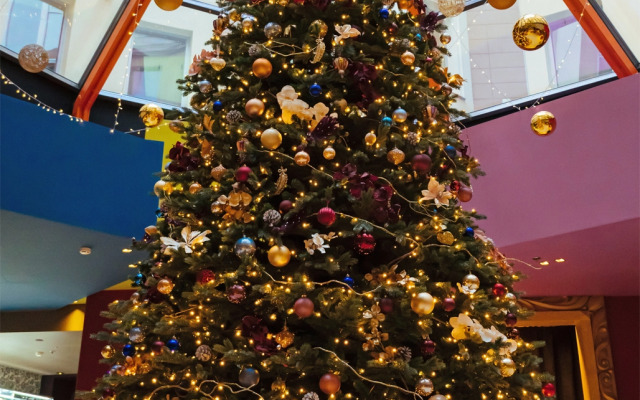 Отель Домина Санкт-Петербург