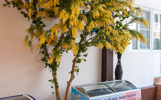 Azaliya-Mimoza Mini Hotel