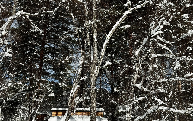 Глэмпинг Terra Glamp