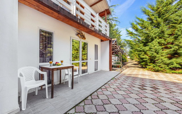 Курортный отель Отель Eco House Pitiunt