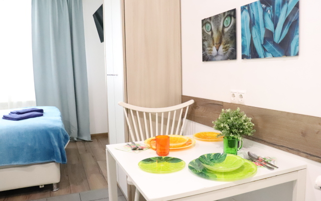 Апартаменты Studio Crocus 4 на Ильинском 2А