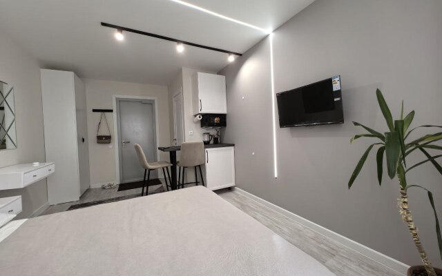 Апартаменты Студия 11/1