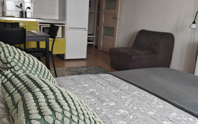 Студия Green метро Ладожская