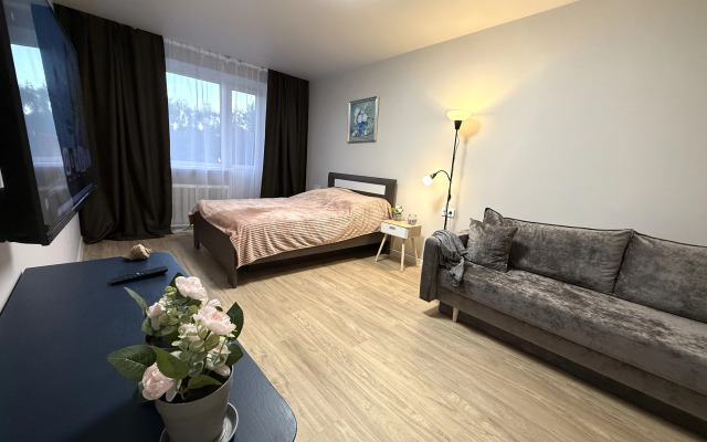 Квартира Уютная на Берегу Замкового Пруда