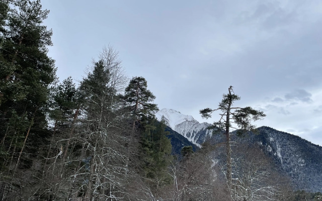 Шале Paradise Forest 5