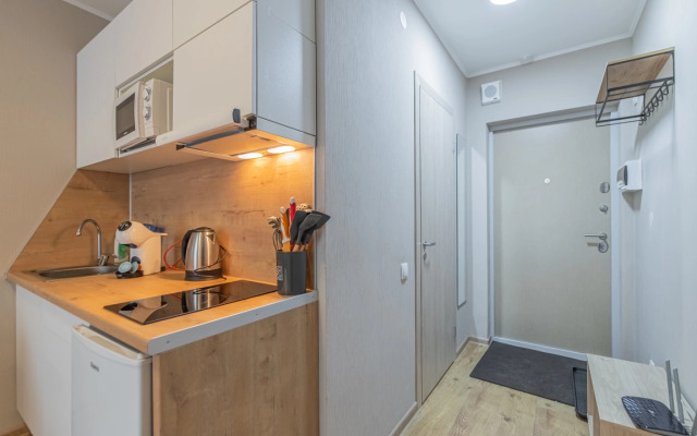 Apartment Standart SalutApart 8