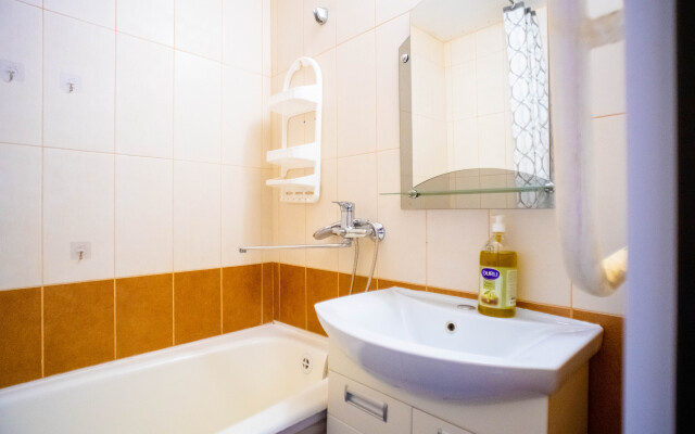 Апартаменты большие эконом-класса в Зареченском районе Тулы