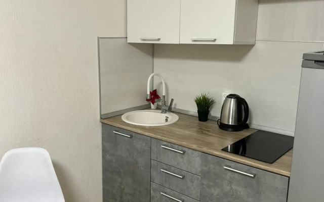 Dream House U Aeroporta Apartments