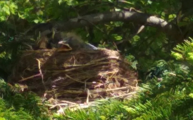 Квартира в Доме Ясень 2