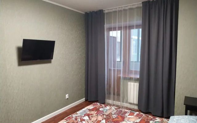 Yevrodvushka U Tsentra Almazova Flat