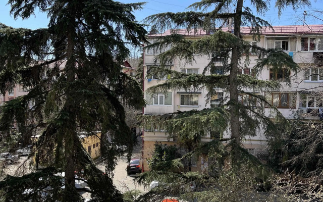 Квартира на Чехова