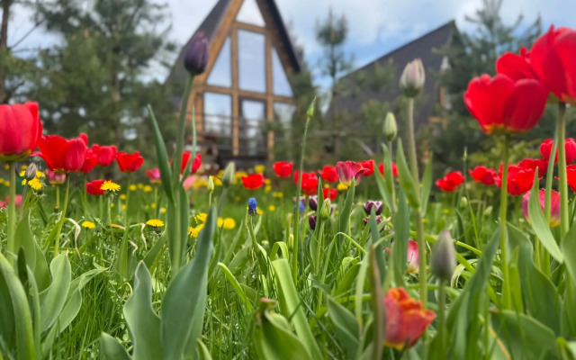 Гостевой дом Рай в шалаше в Светлом