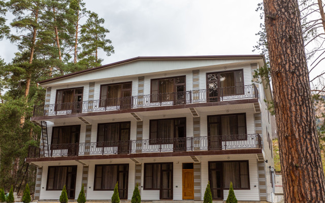 Sneginy Hotel