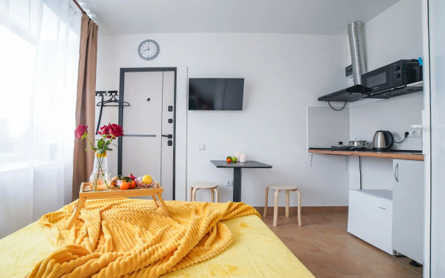 Апартаменты Уютная студия на 2 гостей