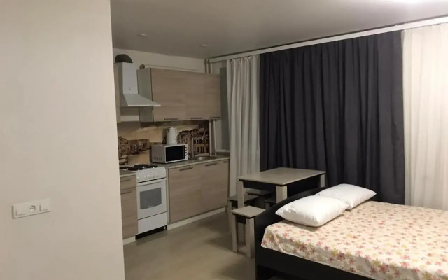 Квартира на ул Санфировой 99